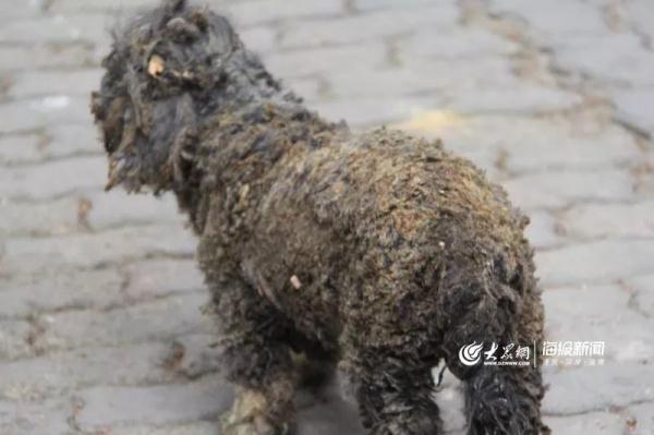 突發(fā)！青島一居民樓發(fā)生爆燃！已造1人死亡，7人受傷！3公里外有震感…