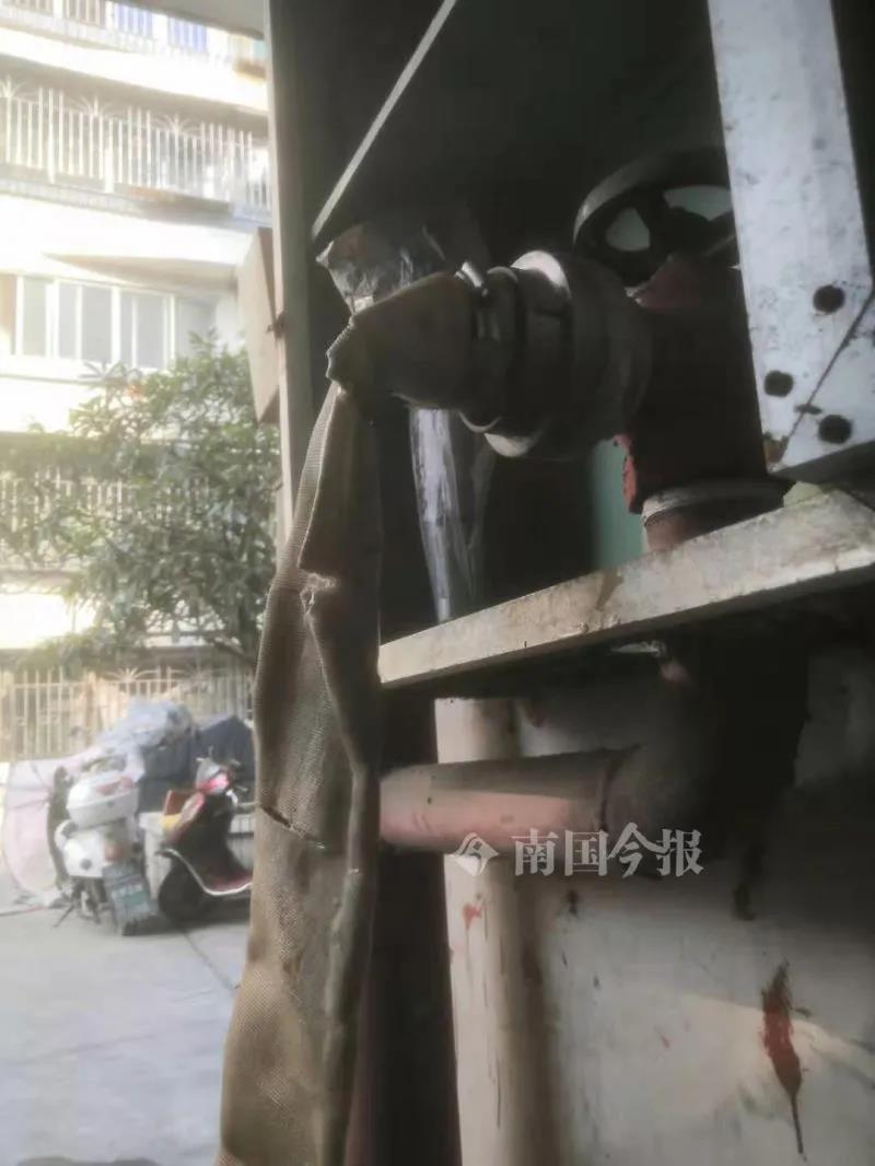 1614043229800572.jpg 4.jpg